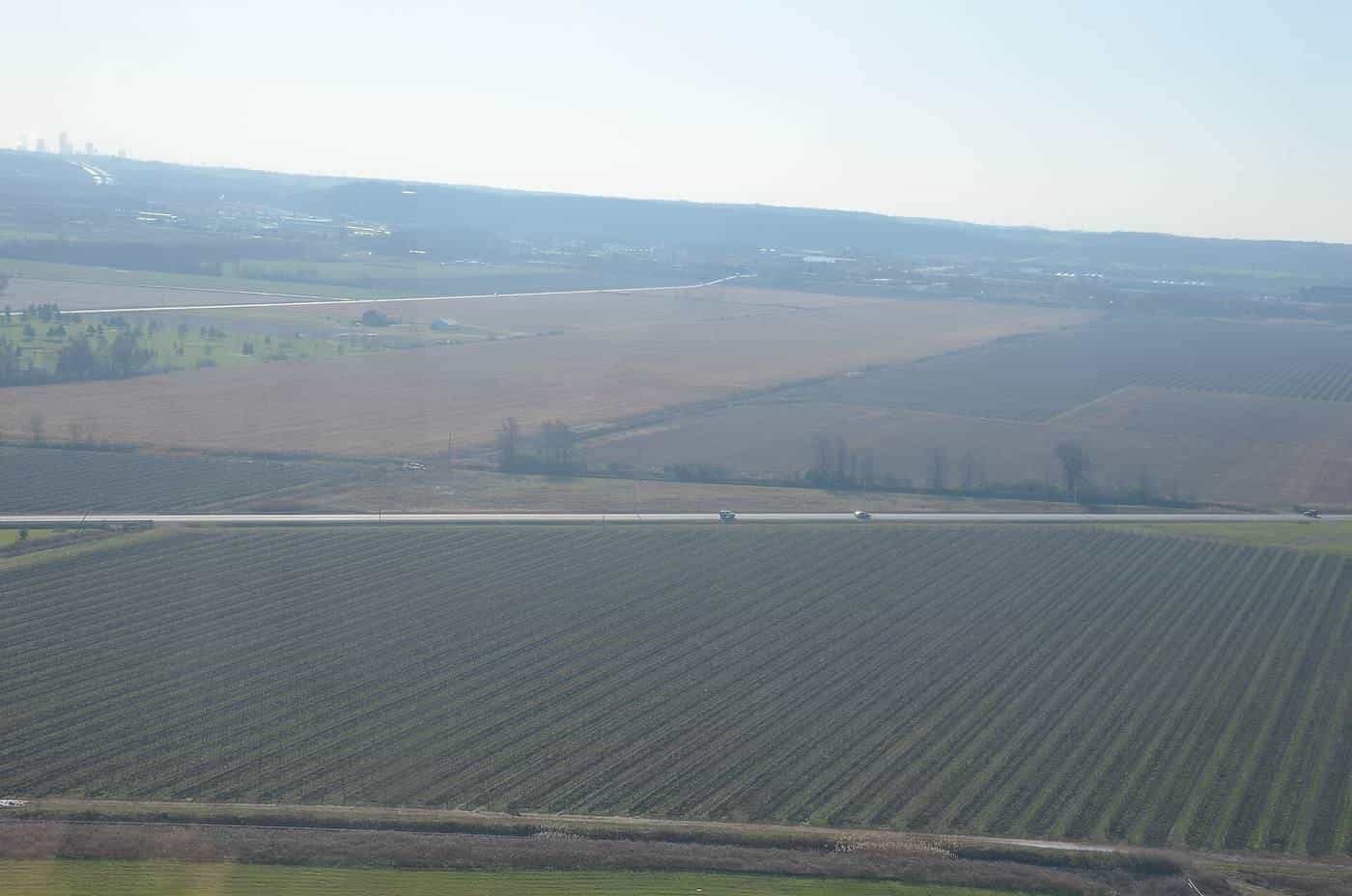 Rows of vineyards seen from the air