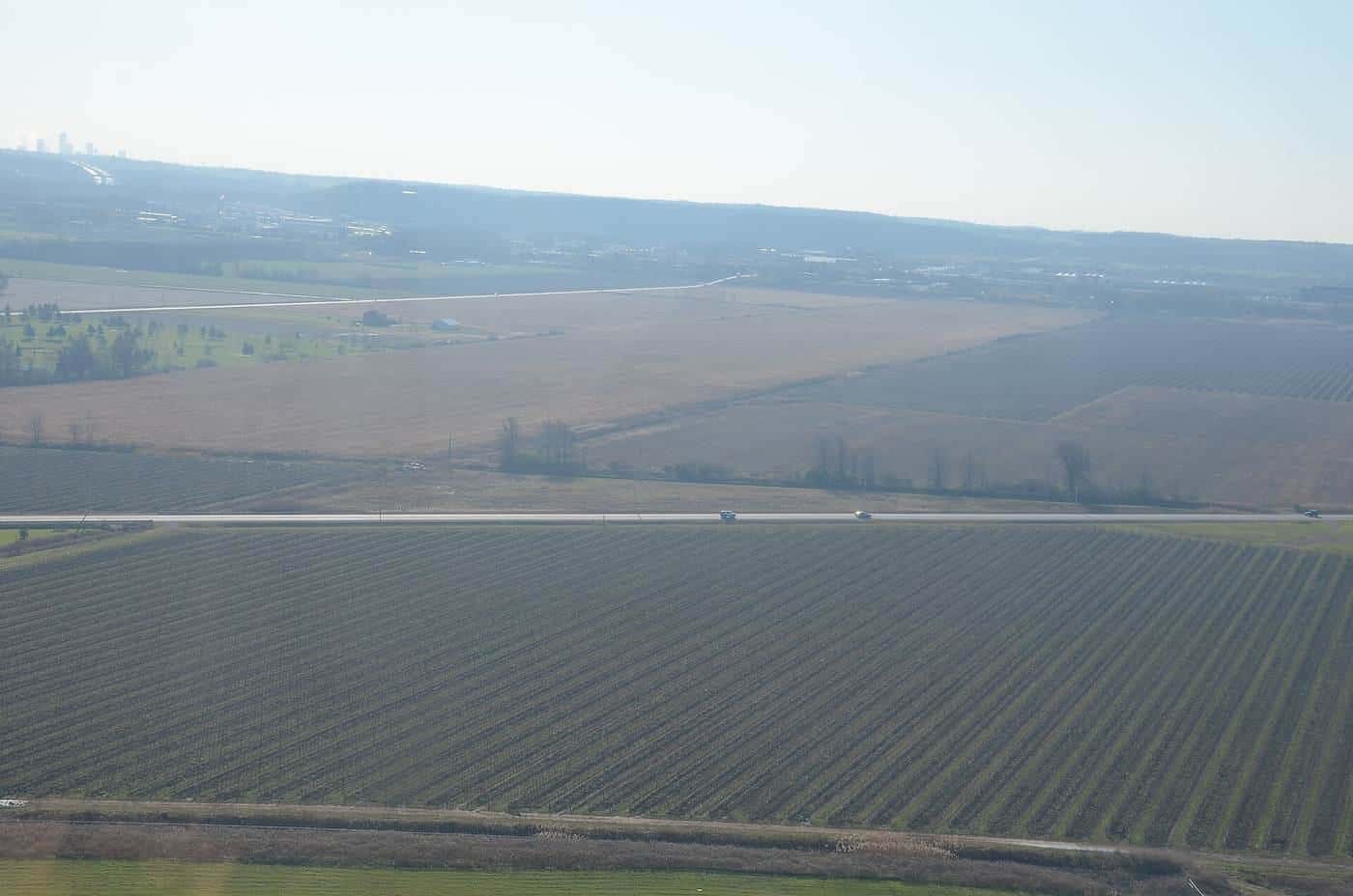 Vineyards seen from a helicopter